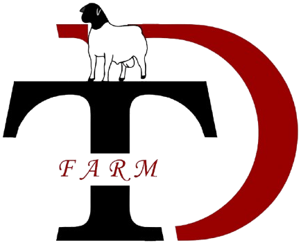 TD Dorper Studs logo